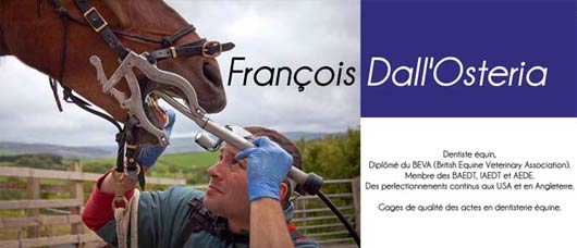 Dentiste équin
