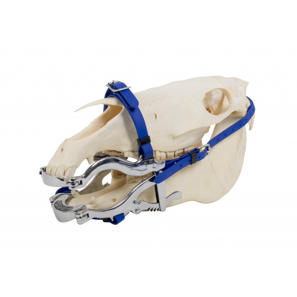 4000 Serie speculum