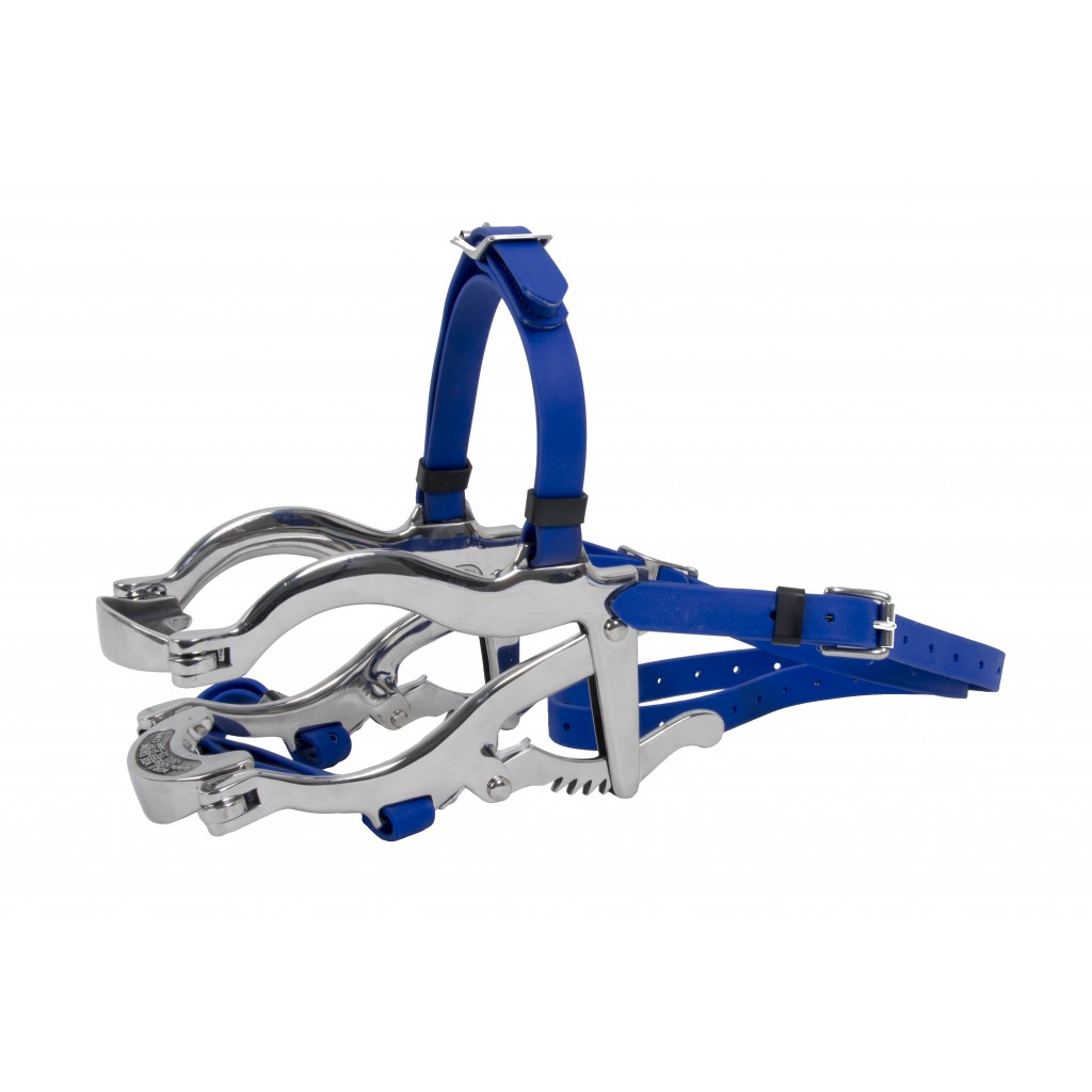 Speculum for equine dentistry and veterinarian.