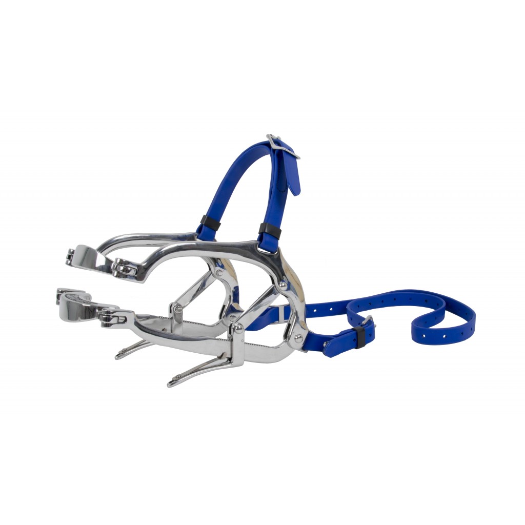 Speculum for equine dentistry and veterinarian.