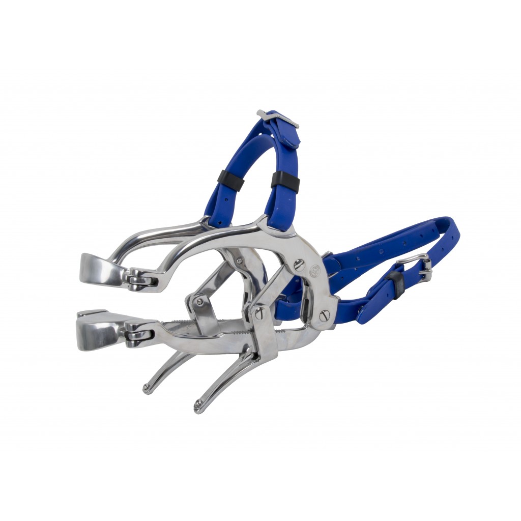 Speculum for equine dentistry and veterinarian.