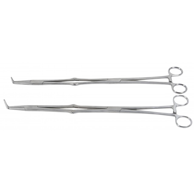 Alligator forceps