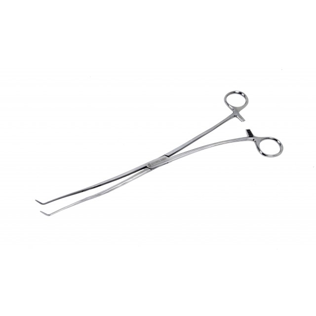 Diastema forceps