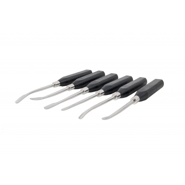 Set of 6 incisor elevators