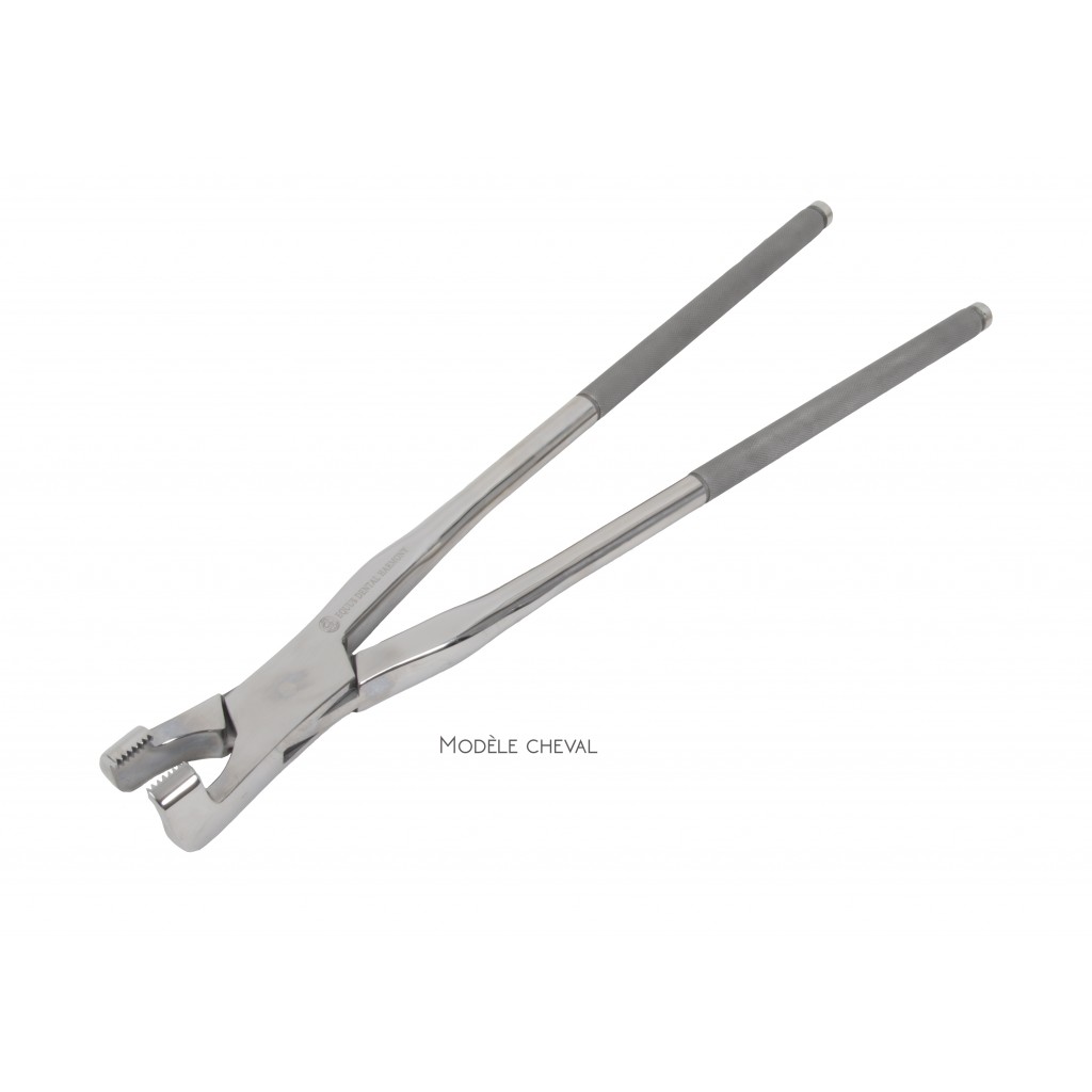 Serrated molar forceps