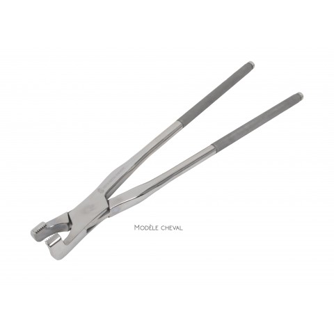 Serrated molar forceps