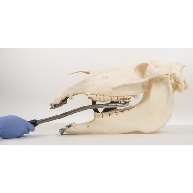 Equus Quick Disk 4000