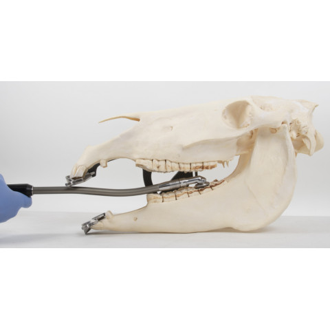 Equus Quick Disk 4000