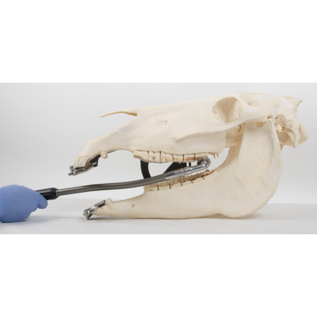 Equus Quick Disk 4000