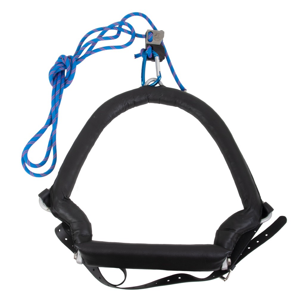 Goplus Ab Trainer Pliable – Abdos & Pompes Avec Support Tête/Cou – Capacité 150 Kg – Fitness Domicile Compact