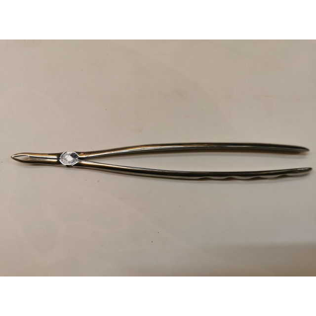 Long wolf teeth root forceps