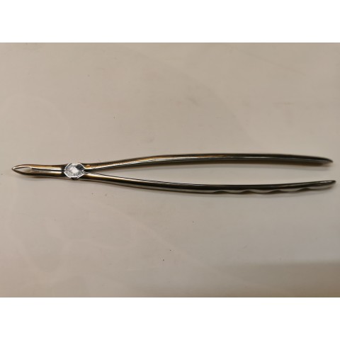 Long wolf teeth root forceps