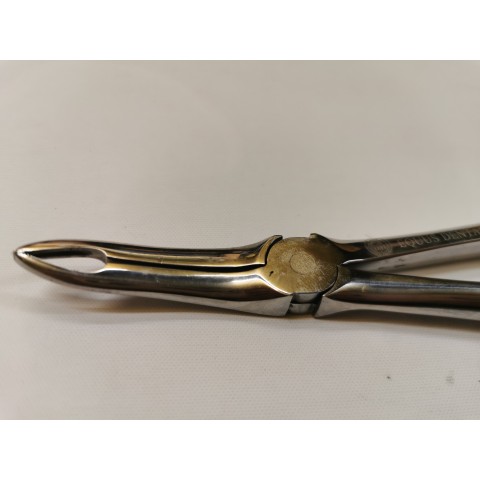 Long wolf teeth root forceps