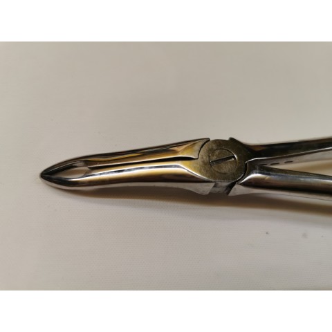 Long wolf teeth root forceps