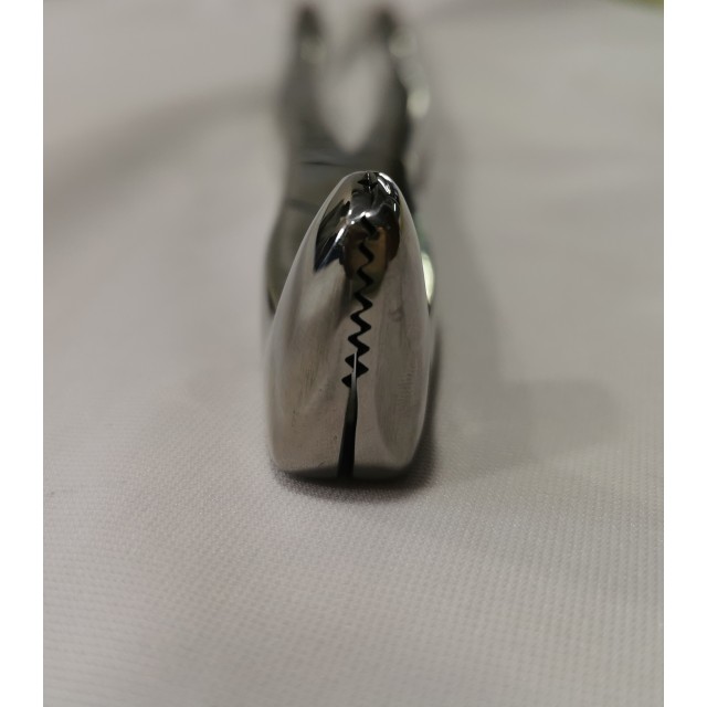 Sagittal fragment forceps