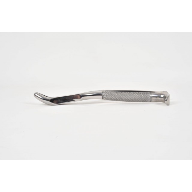 Incisor and wolf tooth