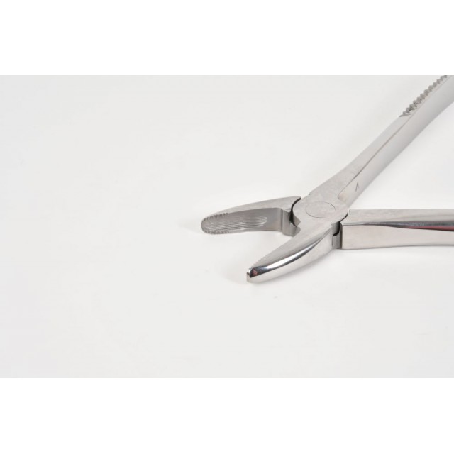 Incisor  forceps