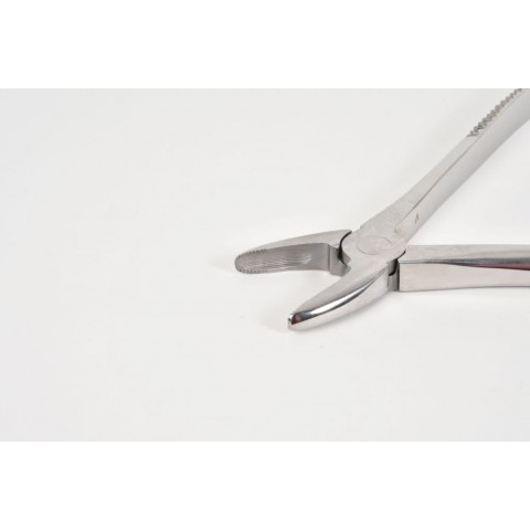 Incisor  forceps