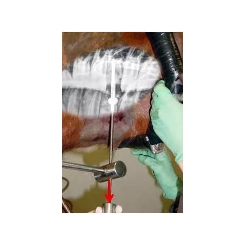 Set buccotomie basic