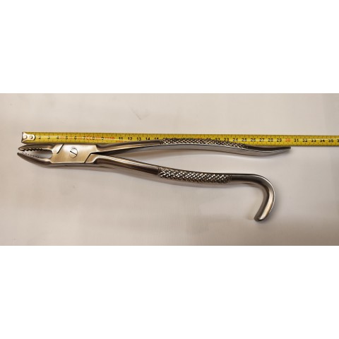 Pince incisive et dent de loup