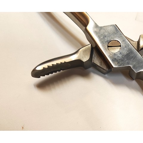 Pince incisive et dent de loup