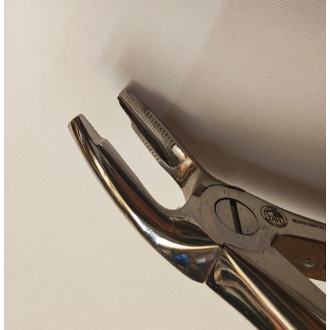 Curved forceps