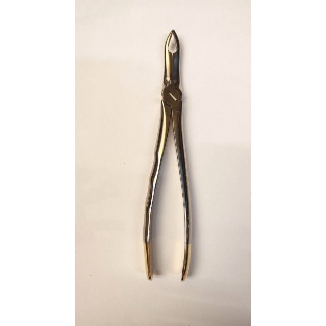 Long wolf teeth forceps