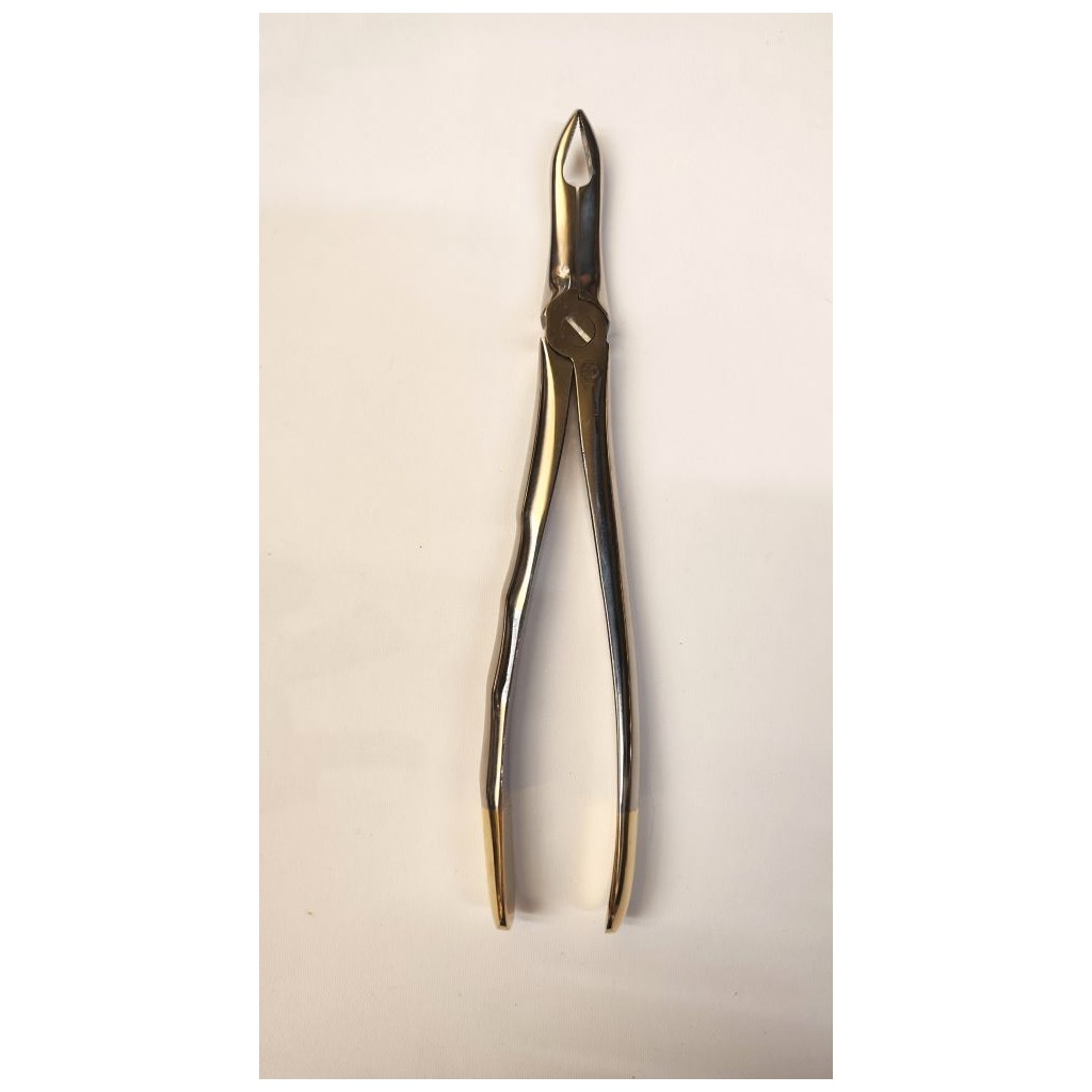 Long wolf teeth forceps