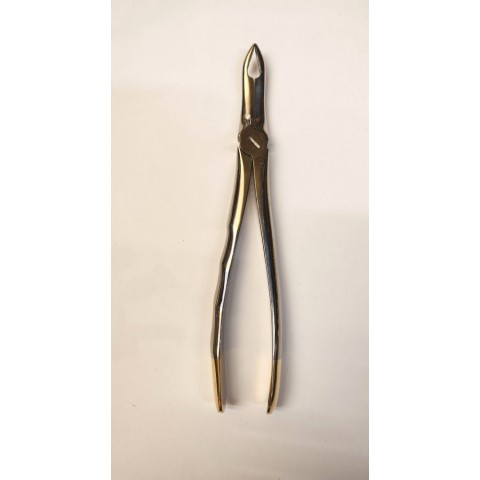 Long wolf teeth forceps