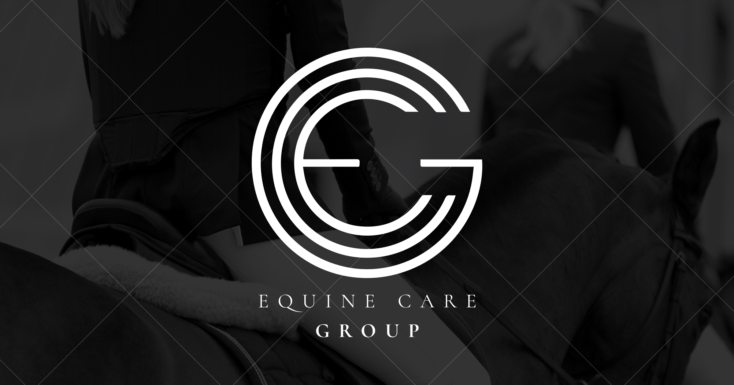 Workshop Equine Care Group