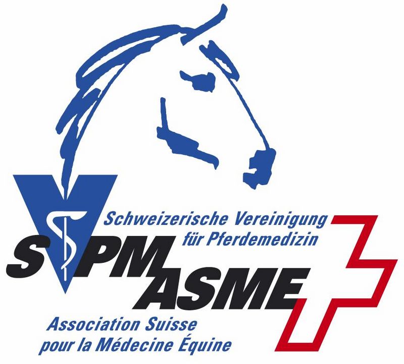 Workshop SVPM 