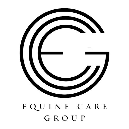 Workshop Equine Care 