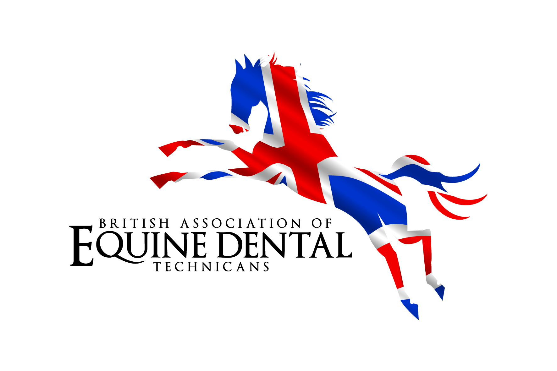 Equine dental symposium